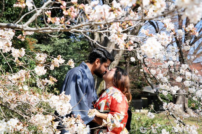 Private Kimono Photo Tour in Tokyo - What to Expect on the Day