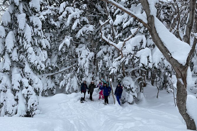 Private Snow Shoe Tour in Shiretoko National Park - Preparing for Your Adventure