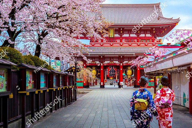 Starter Tour in Tokyo _Visiting Must-See Spots and Practical Guidance - Booking and Pricing Information