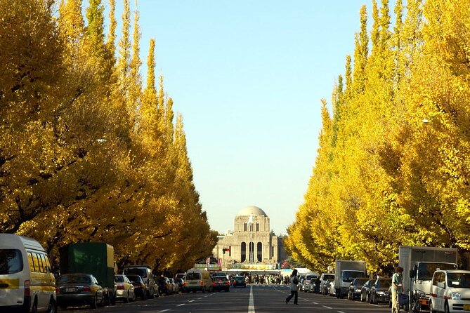 Tokyo Meiji Shrine & Asakusa 4h Private Tour With Licensed Guide - Booking and Cancellation Info