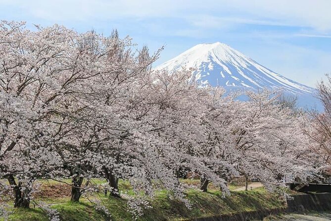 Mt Fuji Sightseeing Private Tour With English-Speaking Driver - Tour Flexibility and Customization