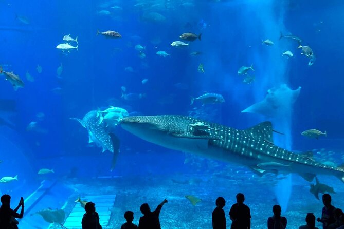 American Village &Okinawa Churaumi Aquarium Tour From Naha/Chatan - Just The Basics