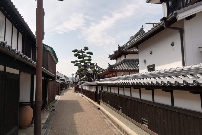 Ancient Nara Walking and Cycling Tour in Asuka - Just The Basics