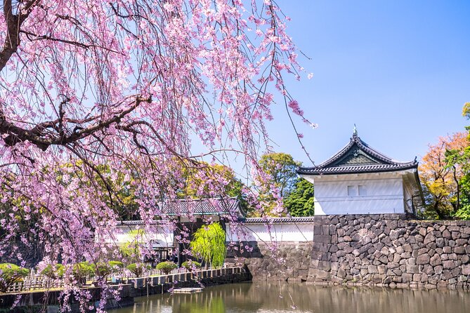 Chiyoda Imperial Palace Walking Tour - Just The Basics