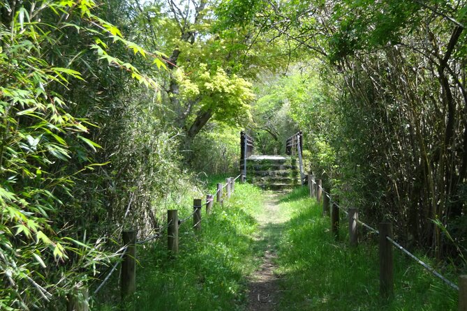 Easygoing Nature Walk in Hakone Tour - Just The Basics