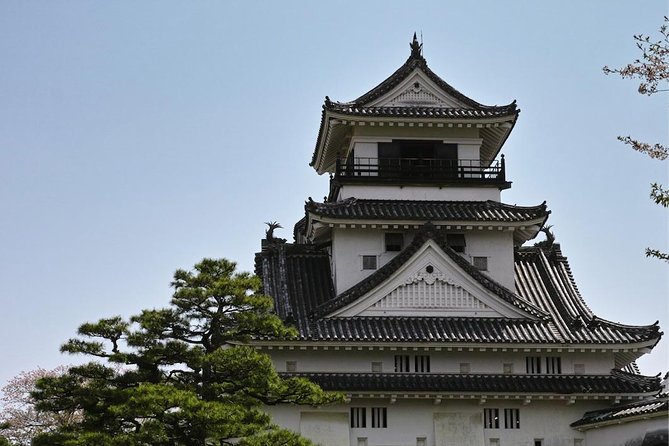 Experience the Energy of Kochi: Sunday Market Tour Includes Kochi Castle - Just The Basics