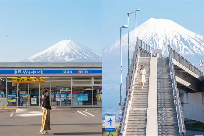 From Tokyo to Mount Fuji Instagram Worthy Full Day Tour - Just The Basics