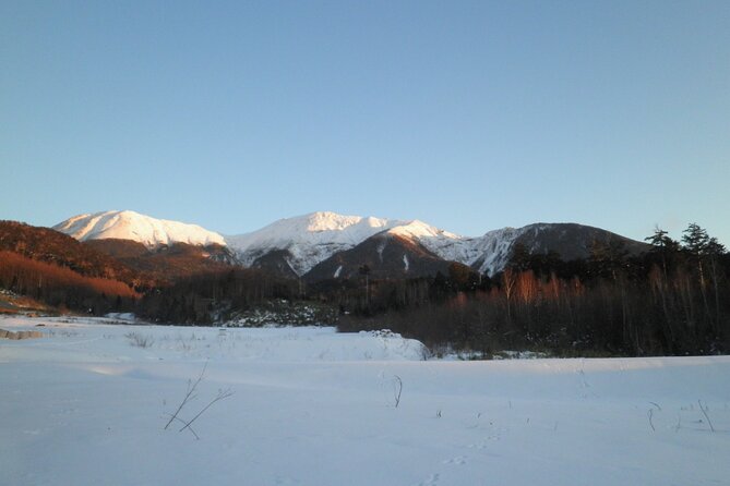 Frozen Fall Trekking - Just The Basics