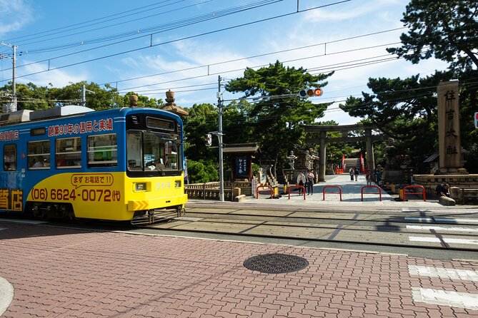 Half Day Osaka Bay Area Cycling With E-Assist Bicycle Tour - Just The Basics