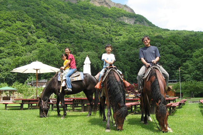 Horseback-Riding in a Country Side in Sapporo - Private Transfer Is Included - Just The Basics