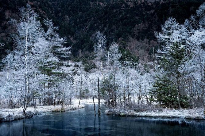 Japan Alps Kamikochi Day Hike With Government-Licensed Guide - Just The Basics