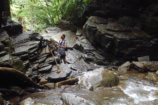 Jungle River Trek: Private Tour in Yanbaru, North Okinawa - Just The Basics