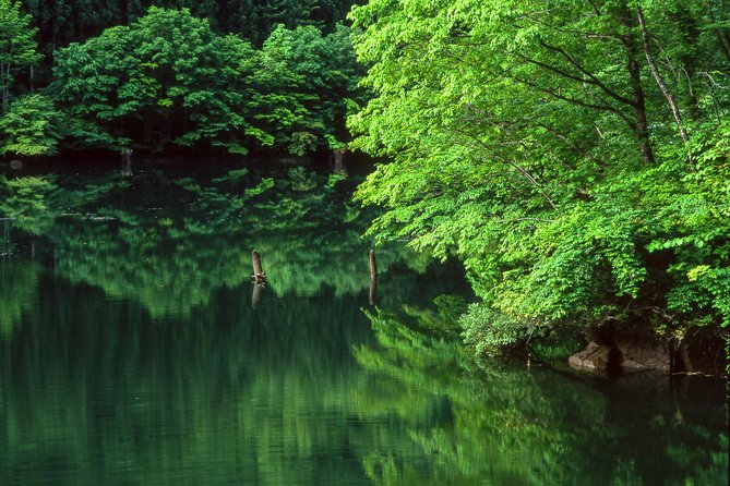 Kamikochi Feel Nature and Hiking 1 Day Trip (Near Takayama) - Just The Basics