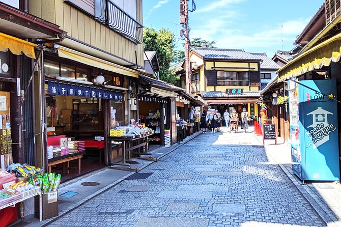 Kawagoe Sightseeing and Experience Tour to Harvest Local Foods - Just The Basics