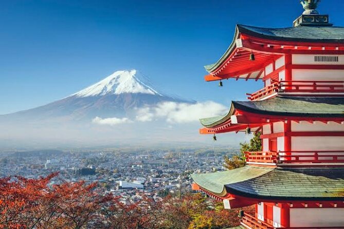 Mount Fuji and Hakone Private Tour With English Speaking Driver - Just The Basics