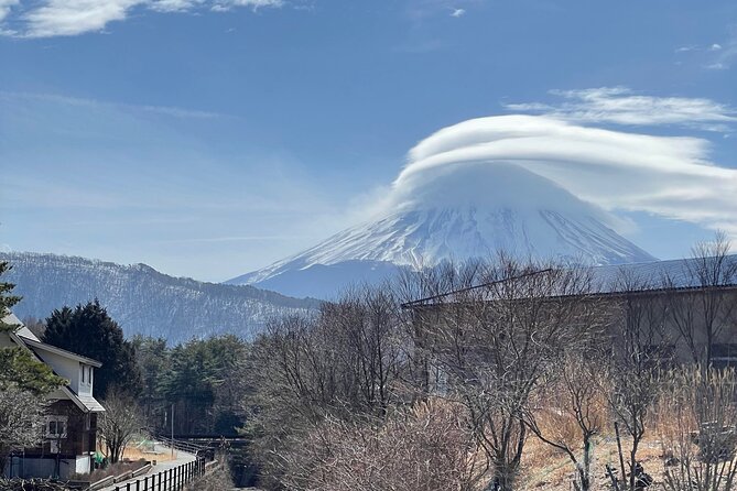 Mt Fuji Sightseeing Private Tour With English-Speaking Driver - Just The Basics