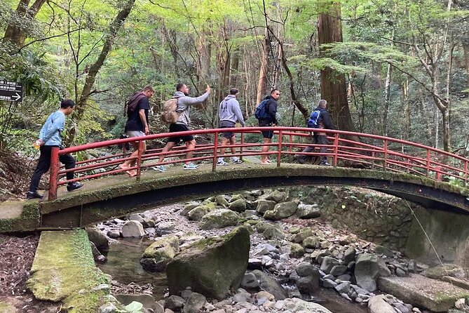 Mt. Inunaki Trekking and Goma Prayer Experience in Osaka - Just The Basics