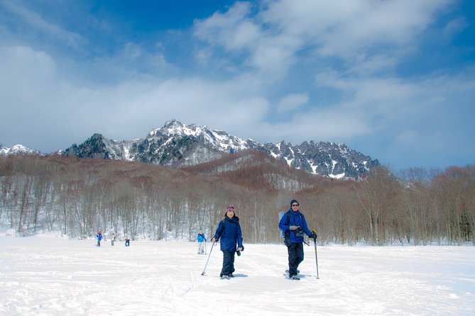 Nagano Snowshoe Hiking Tour - Just The Basics