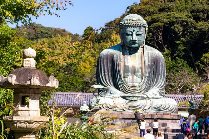 Nara Todaiji Kasuga Taisha Private Full Day Tour From Kyoto - Just The Basics