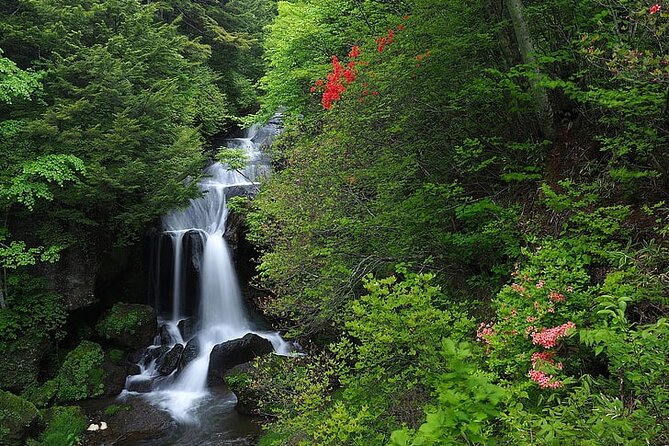 Nikko Day Tour Private With English Speaking Driver - Just The Basics