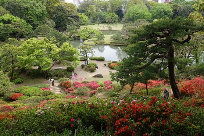 Off the Beaten Path Special in Tokyo by Walking - Just The Basics