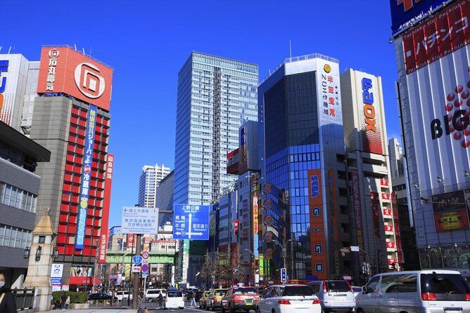 Private Half-Day Tour Colorful and Busy Street in Central Tokyo - Just The Basics