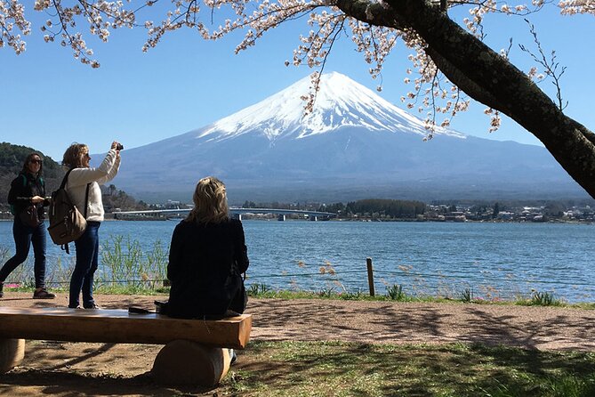 Private Mount Fuji and Hakone 1-Day Sightseeing Tour With Guide - Just The Basics