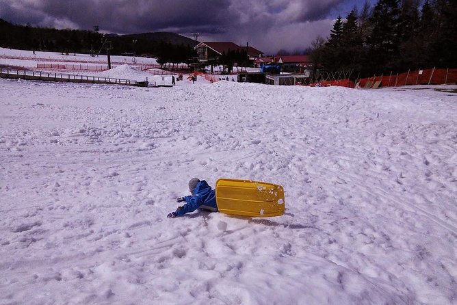 Strawberry Picking and Snow Experience at Mt Fuji Ski Resort for VIP - Just The Basics