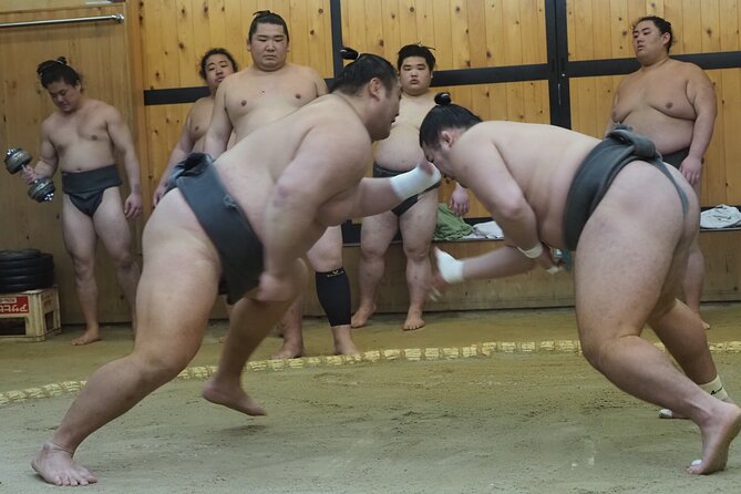 Sumo Morning Training Watch in Osaka - Just The Basics