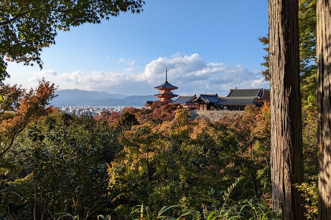 Tour in Kyoto With a Goverment Certified Tour Guide - Just The Basics