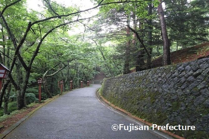 Worlds Most Famous Sight, Mount Fuji, With an English-Speaking Guide - Just The Basics