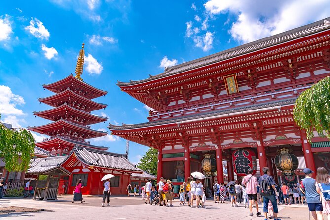 1 Day Private Sightseeing Tour in Tokyo English Speaking Driver - Tour Highlights and Benefits