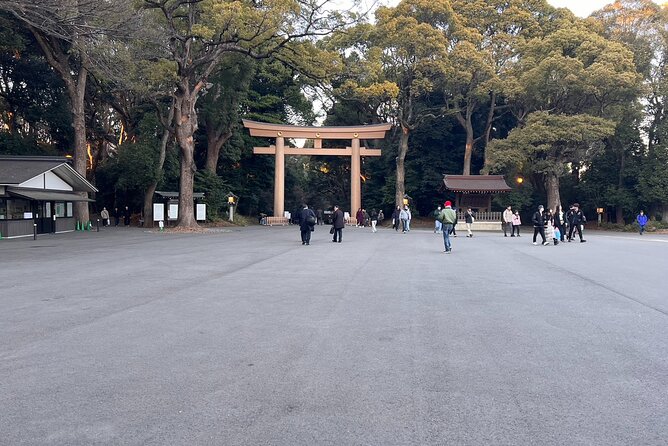 1 Hour Meiji Jingu Shrine Walking Tour in Harajuku - Tour Overview and Highlights