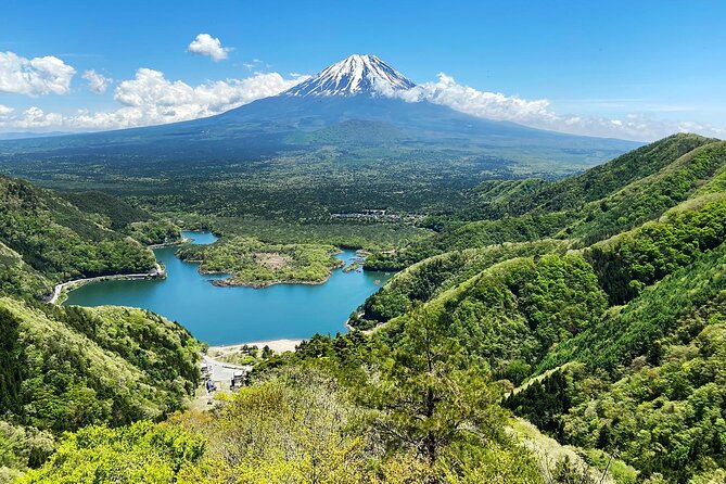 Aokigahara Nature Conservation Full-Day Hiking Tour