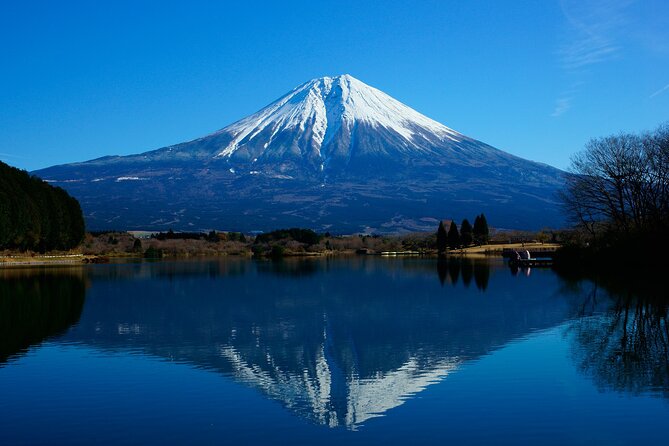 Best Mt Fuji and Hakone Full-Day Bus Tour From Tokyo - Why Choose This Tour