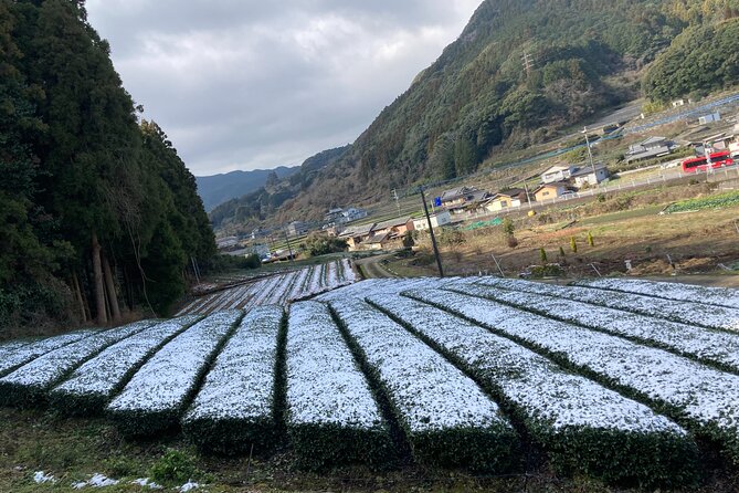 Ceramics and Green Tea Tour of Nagasaki and Saga Prefecture - Discovering Nagasakis Ceramic Heritage