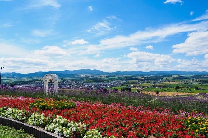 Experience Hokkaidos Summer, Furano, Blue Pond & All-you-can-eat Fresh Melon!