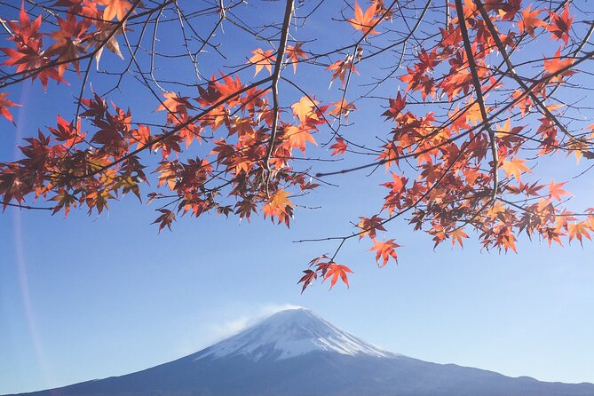 Full Day Private Tour to Mt Fuji by Luxury Vehicle - Luxuriate in Private Transportation