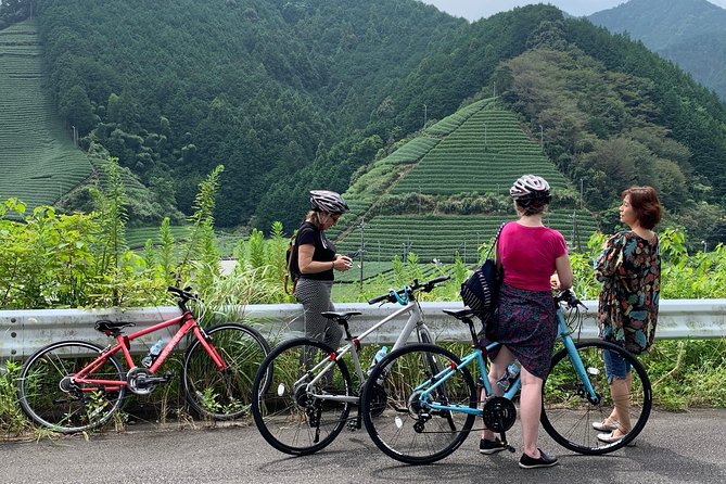 Guided Bike Tour to a Green Tea Farm in Shizuoka (Not E-Bikes)