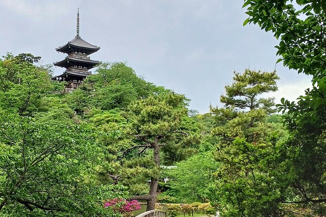 Guided History & Nature Exploration in the Yokohama Hill Area - Exploring Yokohama Hill Area