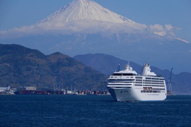 Half Day Private Sightseeing Tour From Shimizu Port /Small Bus - Tour Highlights and Inclusions