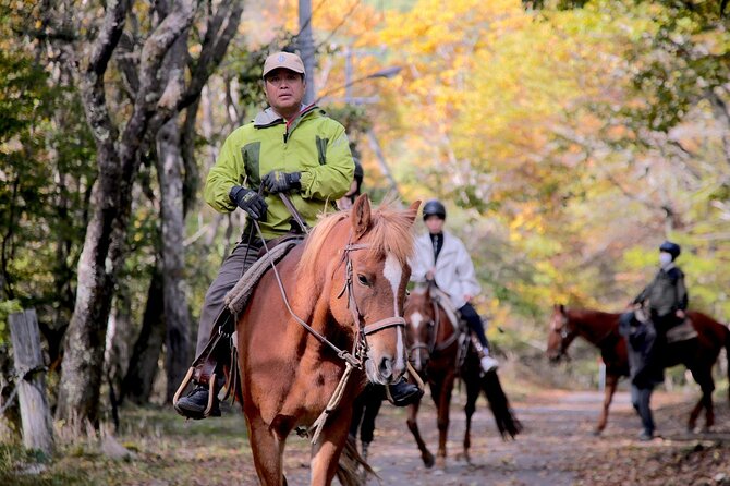 Horse Riding Experience in Nature Rich Lake Shirakaba