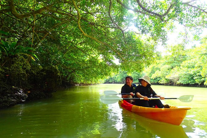 [Ishigaki]Mangrove SUP/Canoe Tour