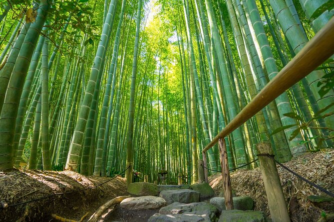 Kamakura Tour - Exploring Historic Kamakura Landmarks