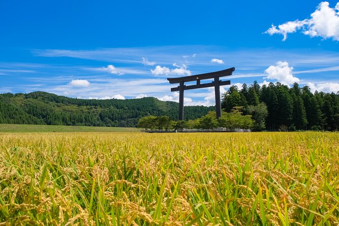 Kumano Kodo Pilgrimage Tour With Licensed Guide & Vehicle - Tour Overview and Highlights