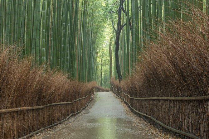 Kyoto Top Must-See Golden Pavilion and Bamboo Forest Half-Day Private Tour