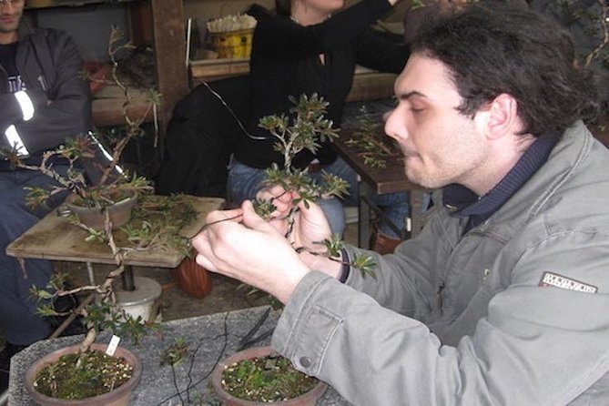 Make Your Own BONSAI With a Professional Artist in Tokyo