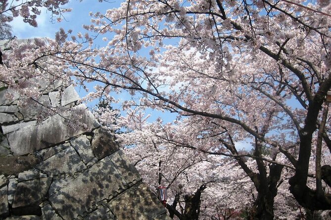 Morioka Half-Day Private Tour With Government-Licensed Guide