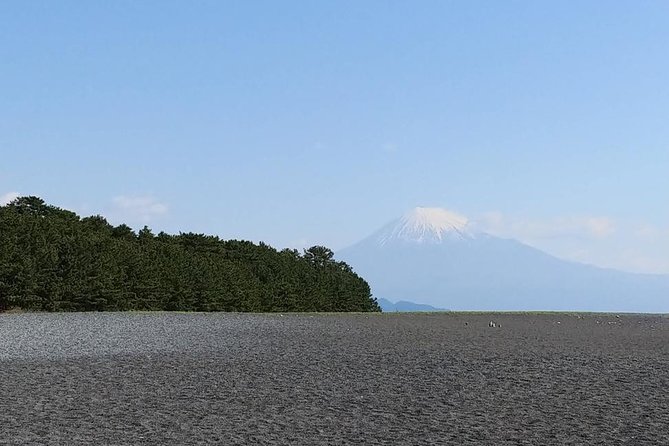 Mt.Fuji Chartered Taxi Tour - Exploring Mt. Fujis Beauty