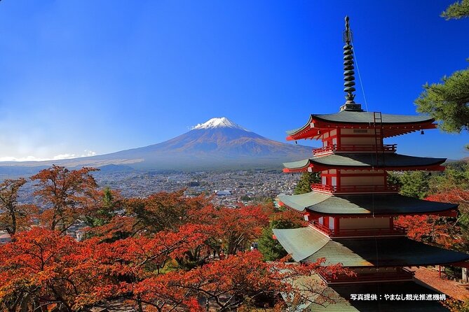 Mt.Fuji, Oishi Park & Arakurayama Sengen Park Bus Tour From Tokyo - Mt. Fuji Bus Tour Highlights